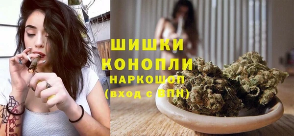 spice Бородино