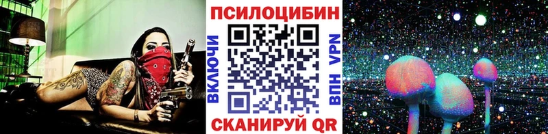 Псилоцибиновые грибы Cubensis  как найти закладки  Мурманск 